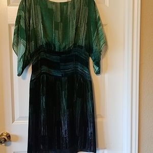 Beautiful Anna Sui crushed velvet green dress